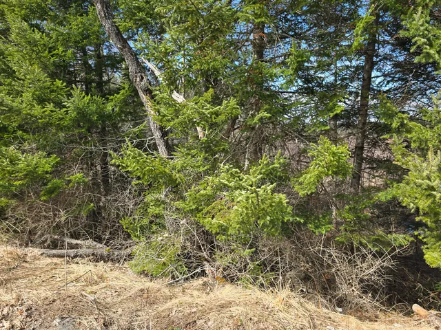 $23,000 | M11-l6 Woodville Road, Lincoln, ME 04457