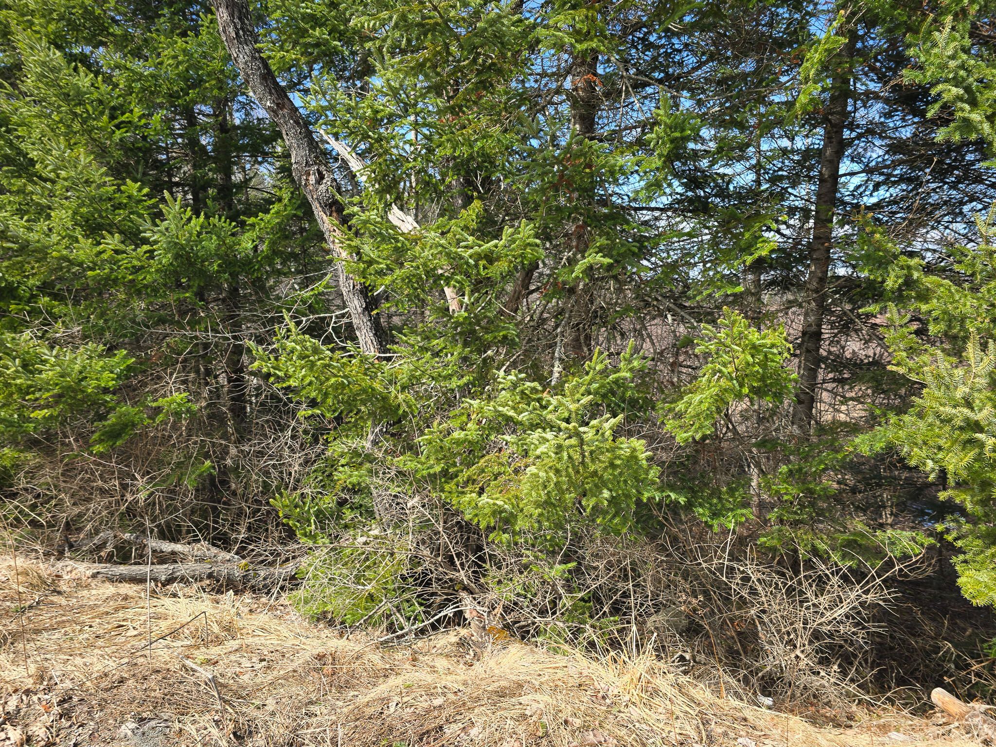 M11-l6 Woodville Road Lincoln, ME 04457 - Photo 4 of 14 4