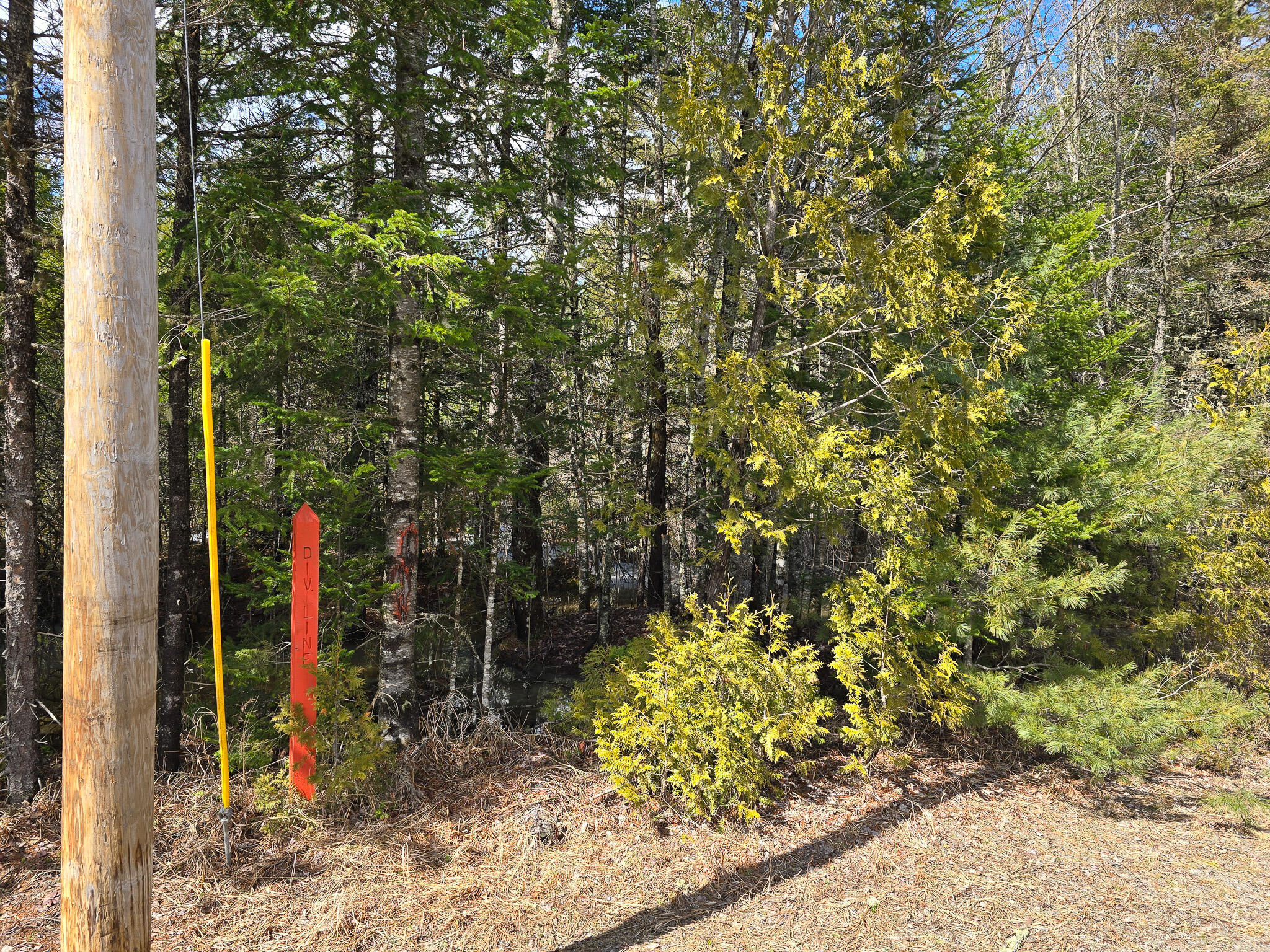 M11-l6 Woodville Road Lincoln, ME 04457 - Photo 6 of 14 6