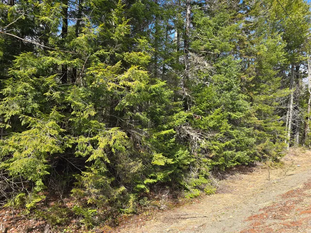 $23,000 | M11-l6 Woodville Road, Lincoln, ME 04457