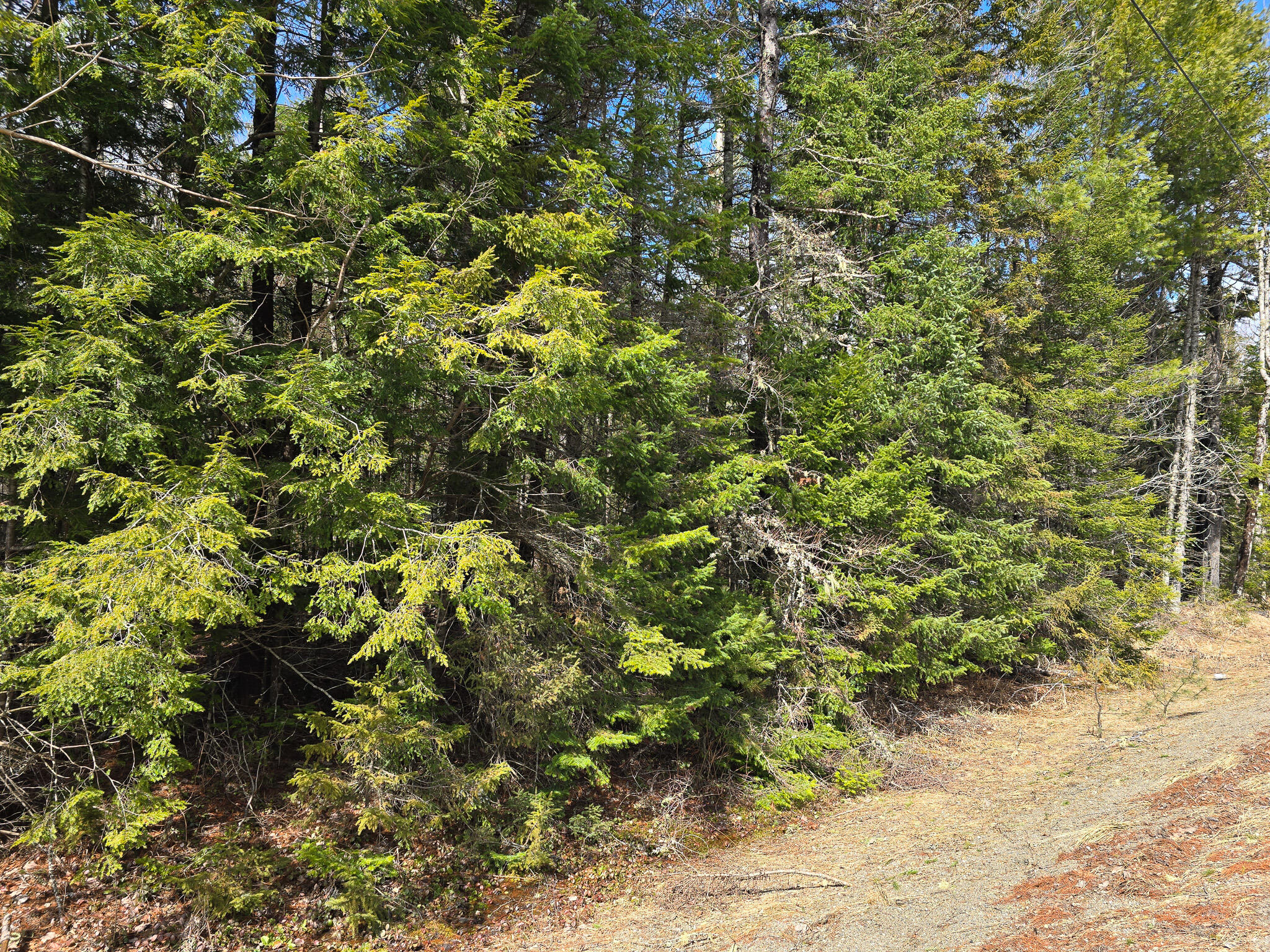 M11-l6 Woodville Road Lincoln, ME 04457 - Photo 7 of 14 7