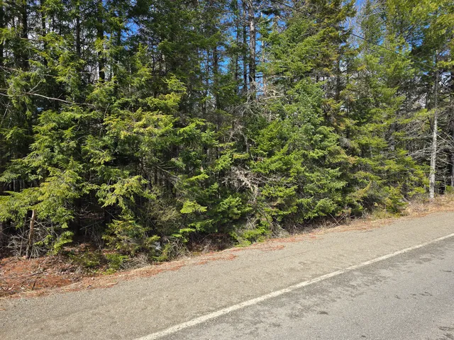 $23,000 | M11-l6 Woodville Road, Lincoln, ME 04457