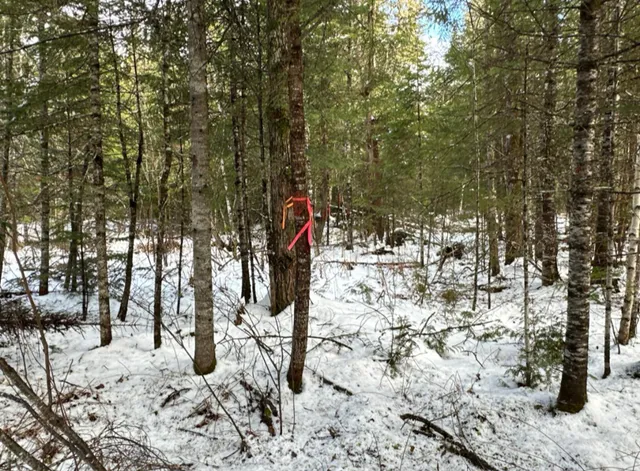 $23,000 | M11-l6 Woodville Road, Lincoln, ME 04457