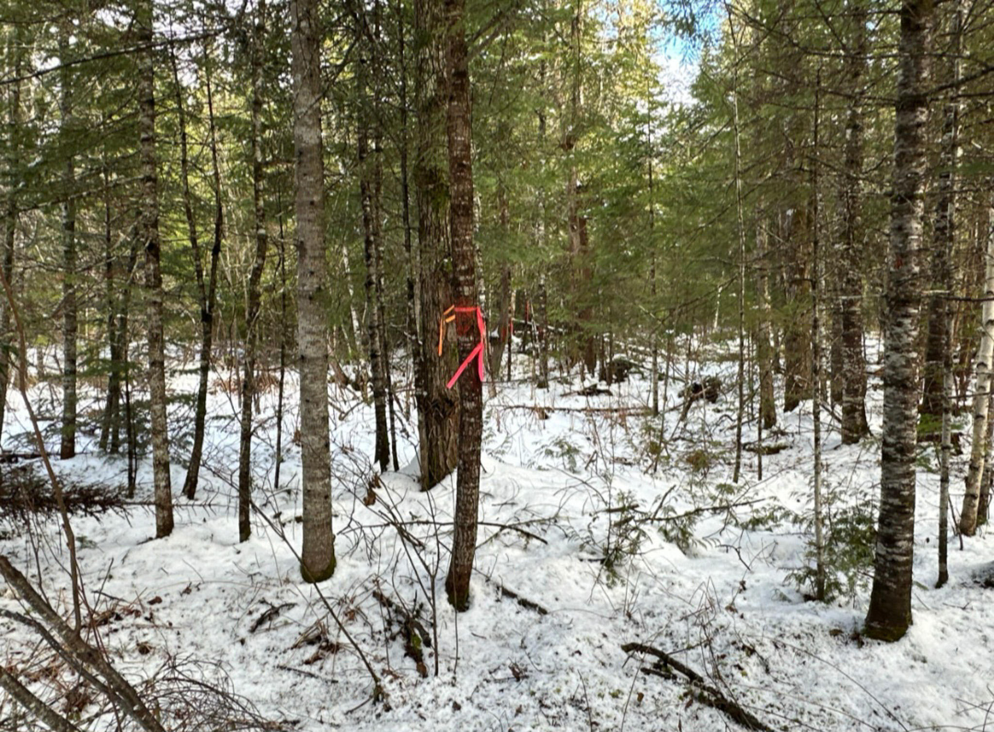 M11-l6 Woodville Road Lincoln, ME 04457 - Photo 9 of 14 9