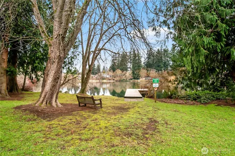 a view of a park with large trees