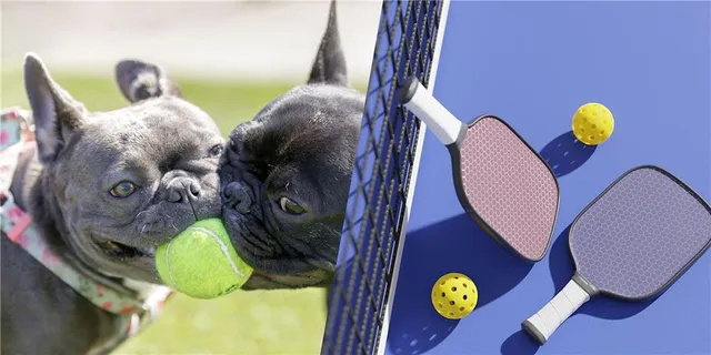 $1,050,000 | 13706 Pembroke Lane, Leawood, KS 66224