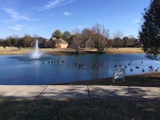 3114 Vera Valley Road Franklin, TN 37064 - Photo 7 of 8 Beautiful pond - fishing for residents!