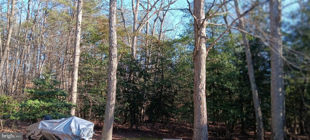 8910 Fox Park Road Clinton, MD 20735 - Photo 42 of 46 Rear View