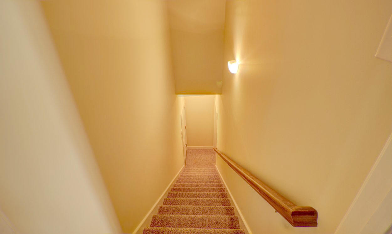 1968 Creswell Road Seymour, TN 37865 - Photo 25 of 39 stairs to basement