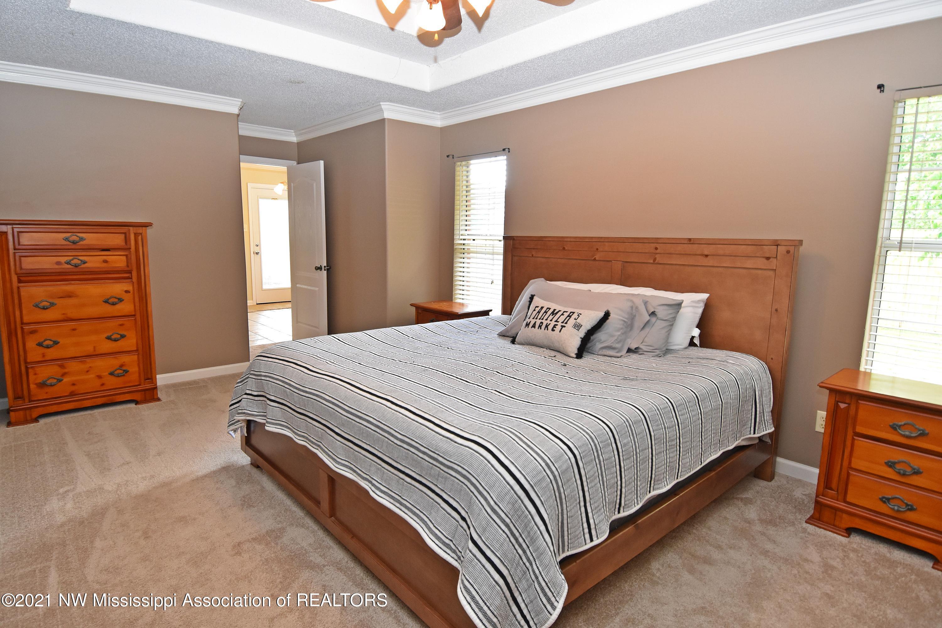 9969 Alexanders Ridge Drive Olive Branch, MS 38654 - Photo 13 of 27 Master Suite