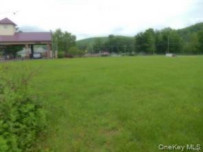 1553 22nd Route Brewster, NY 10509 - Photo 2 of 2 a view of a green yard with a house