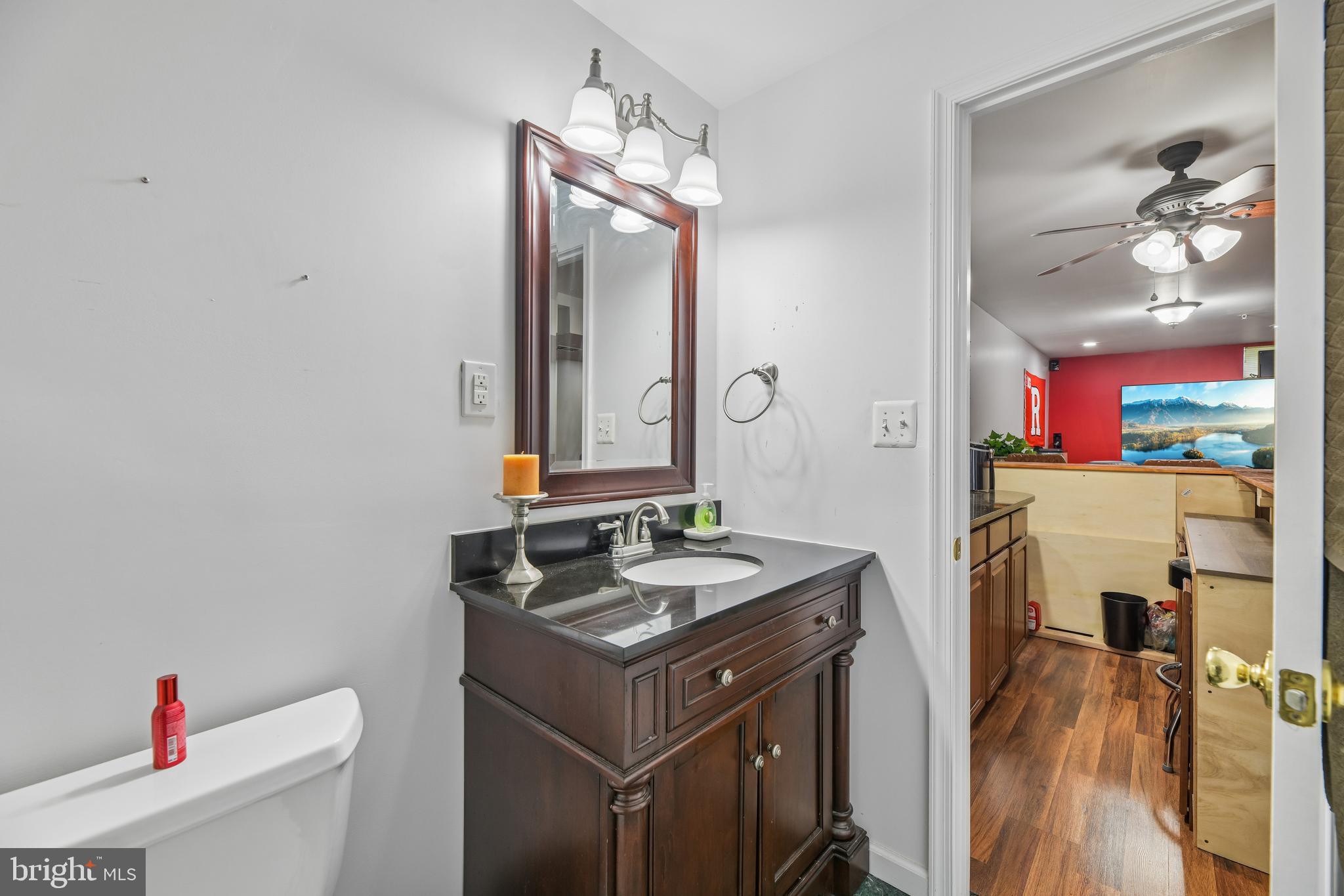 16116 Eckhart Road Bowie, MD 20716 - Photo 84 of 93 Basement Bathroom