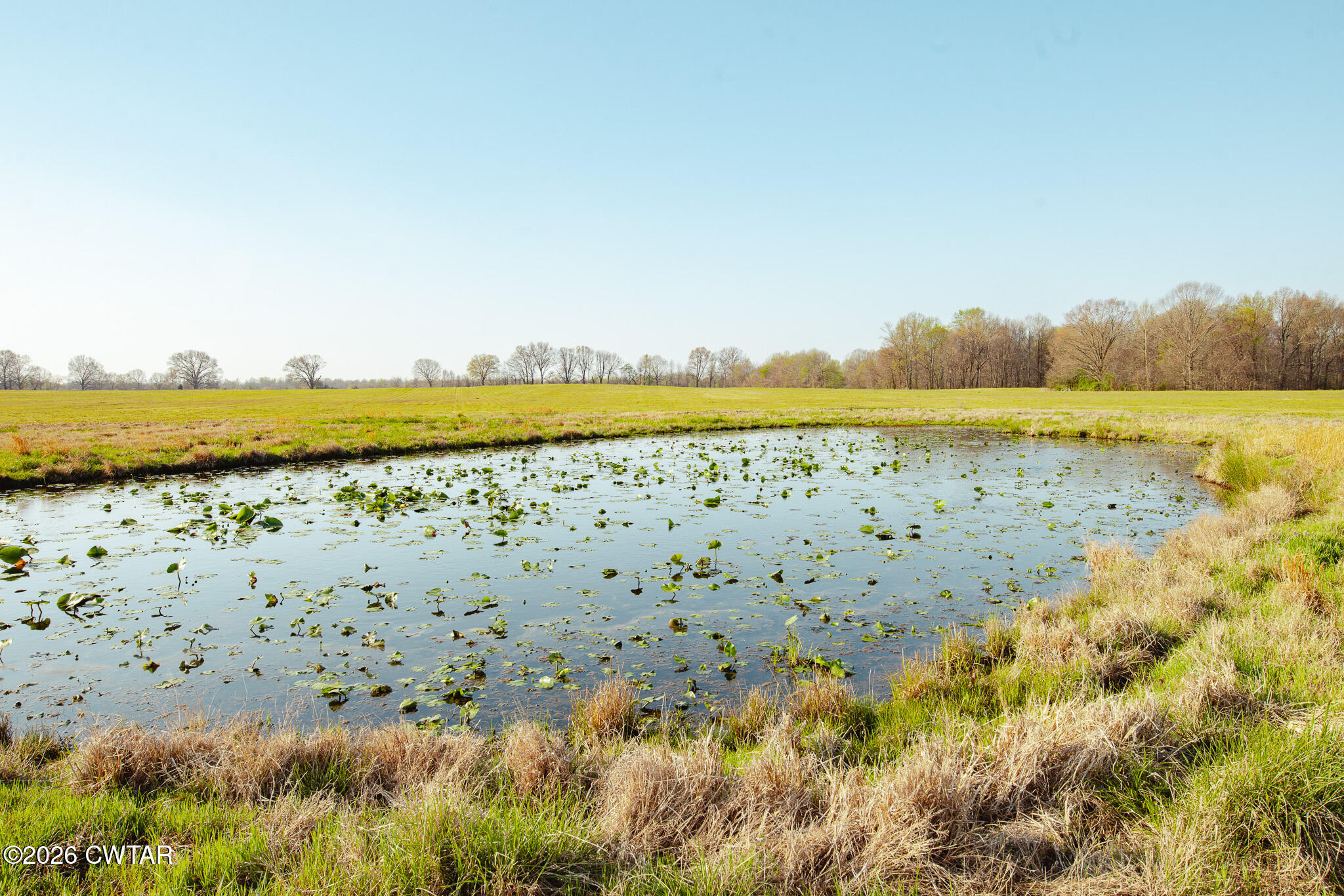 0 Boydsville Road Palmersville, TN 38241 - Photo 22 of 25 a view of an ocean