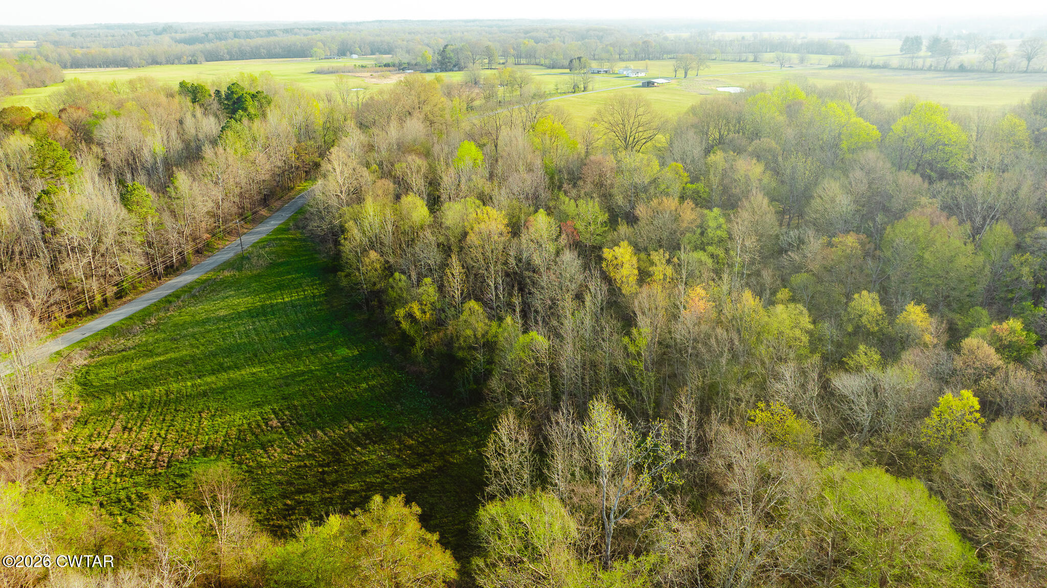 0 Boydsville Road Palmersville, TN 38241 - Photo 23 of 25 a view of outdoor space and garden