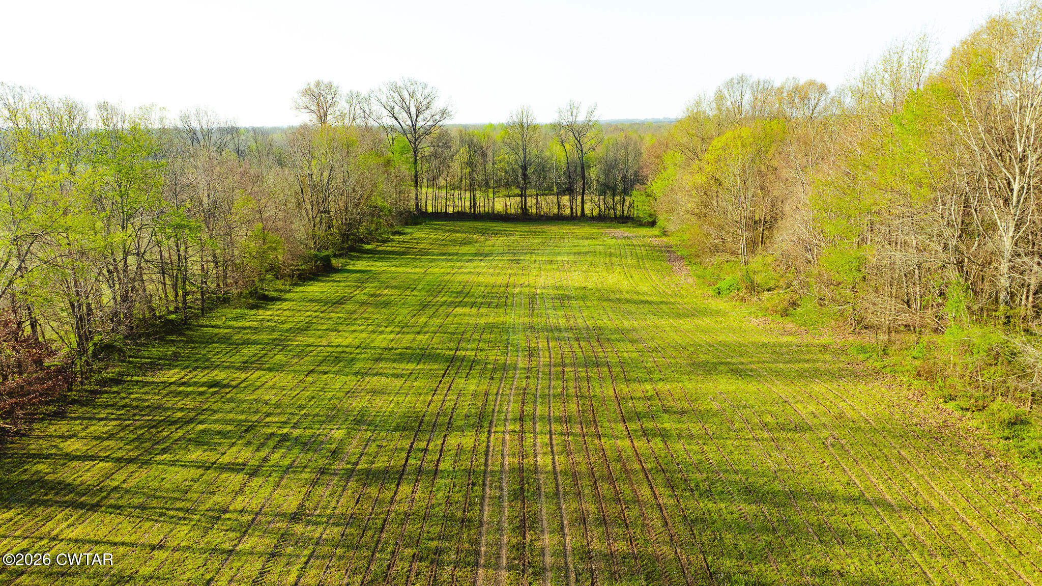 0 Boydsville Road Palmersville, TN 38241 - Photo 5 of 25 a view of a garden