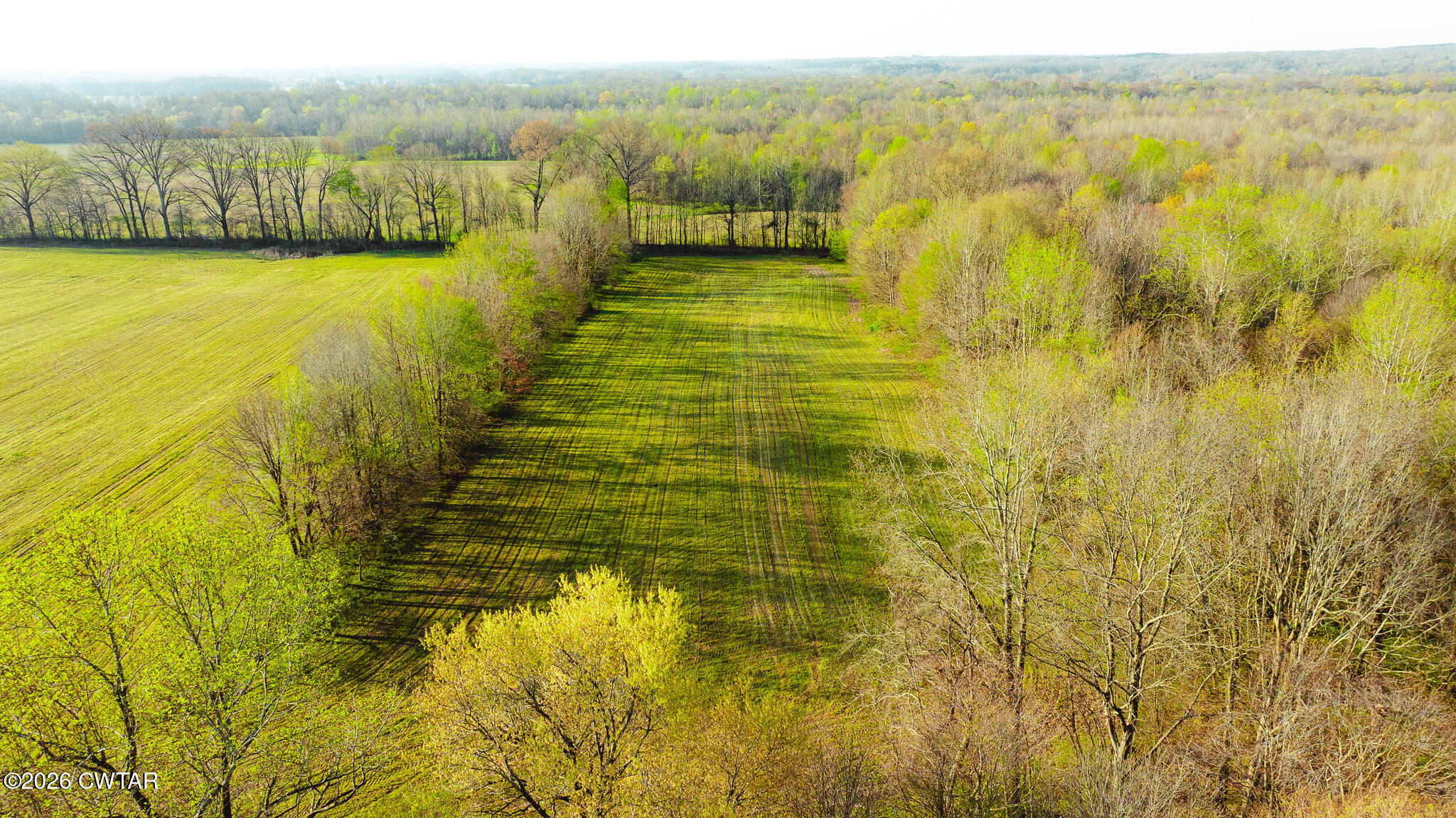 0 Boydsville Road Palmersville, TN 38241 - Photo 6 of 25 a view of an ocean