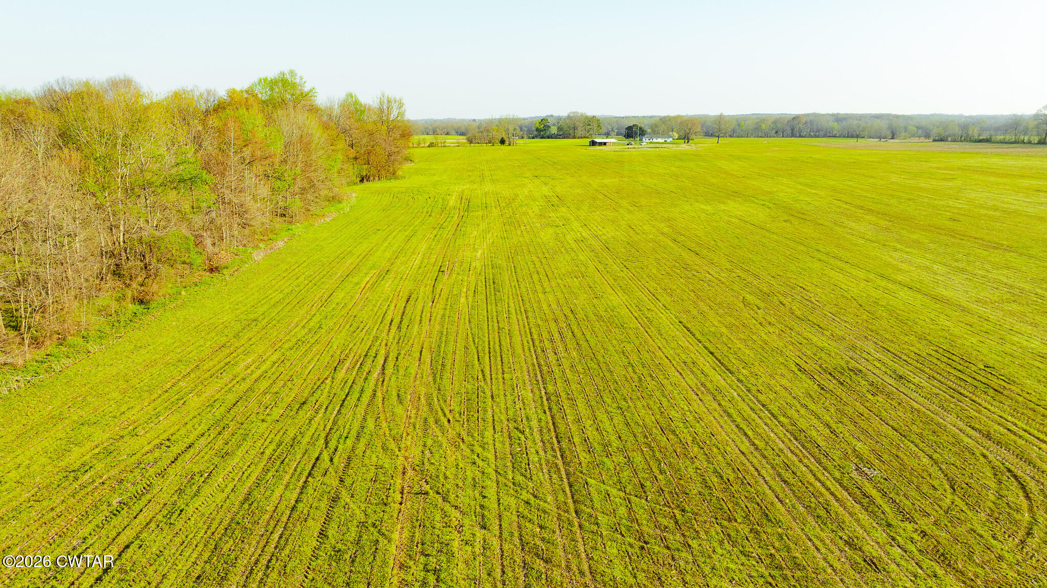 0 Boydsville Road Palmersville, TN 38241 - Photo 7 of 25 a view of an ocean