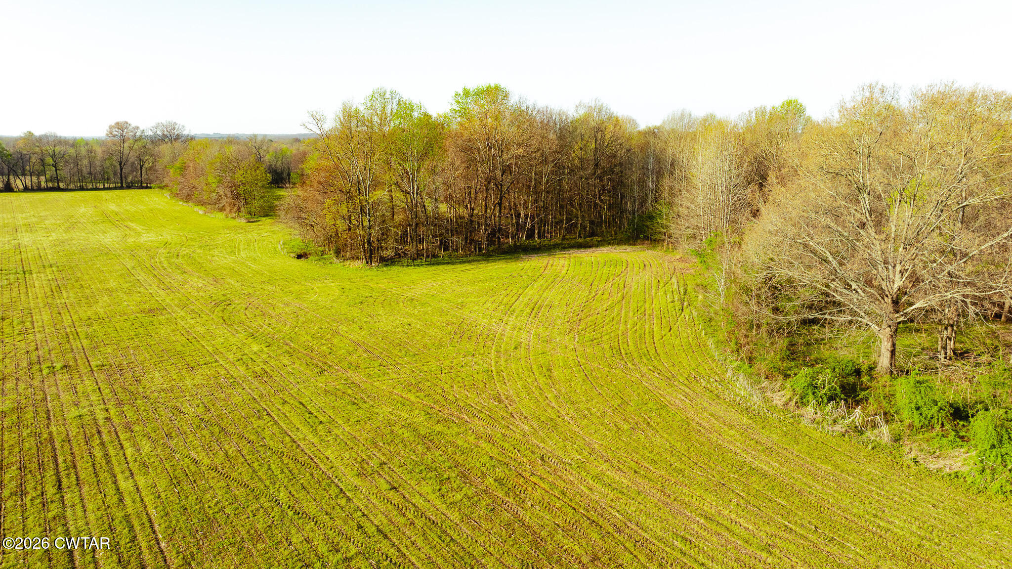 0 Boydsville Road Palmersville, TN 38241 - Photo 8 of 25 a view of an ocean