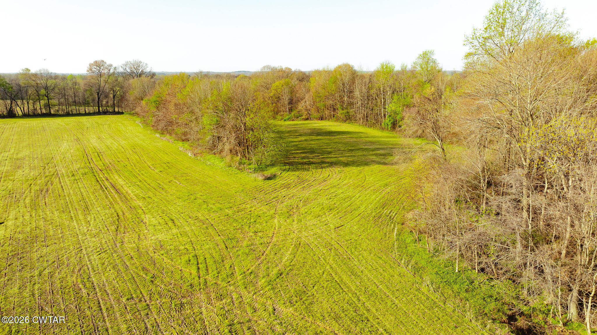 0 Boydsville Road Palmersville, TN 38241 - Photo 9 of 25 a view of an ocean from a yard