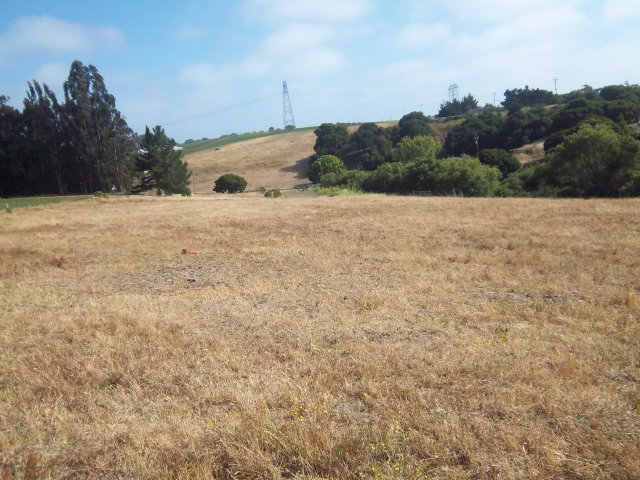 14700 Meridian Road Castroville, CA 95012 - Photo 4 of 5 Gallery Image 4