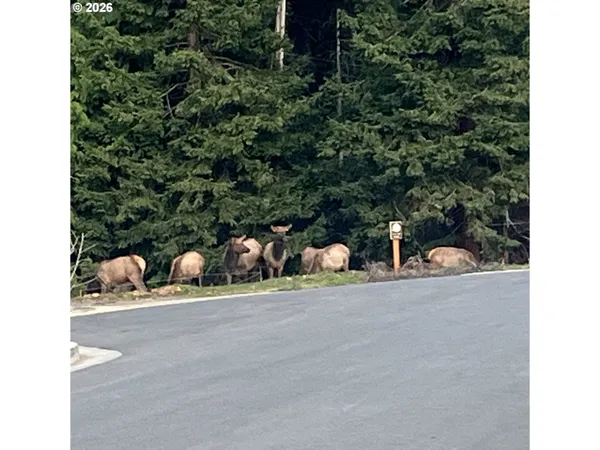 a view of a balcony with furniture potted plants and wooden floor