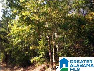 Lakeridge Drive, Unit 4 Ashville, AL 35953 - Photo 10 of 19