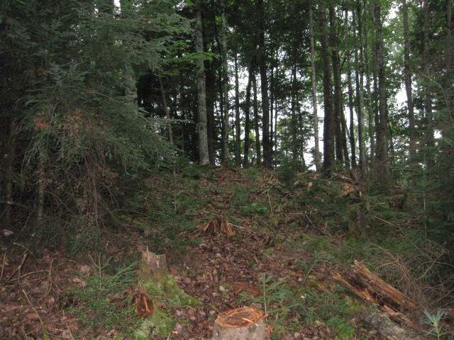 Lot 204 Camp Nokomis Road Mercer, WI 54547 - Photo 7 of 17 Gallery Image 7