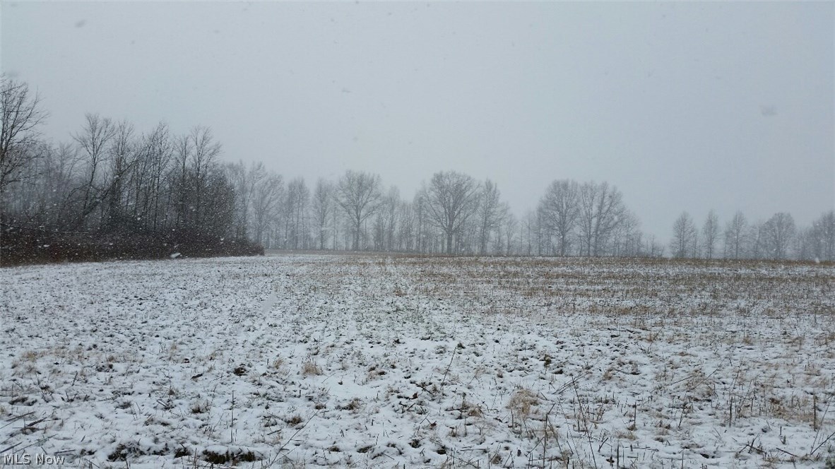 Wayland Road Deerfield, OH 44411 - Photo 5 of 8