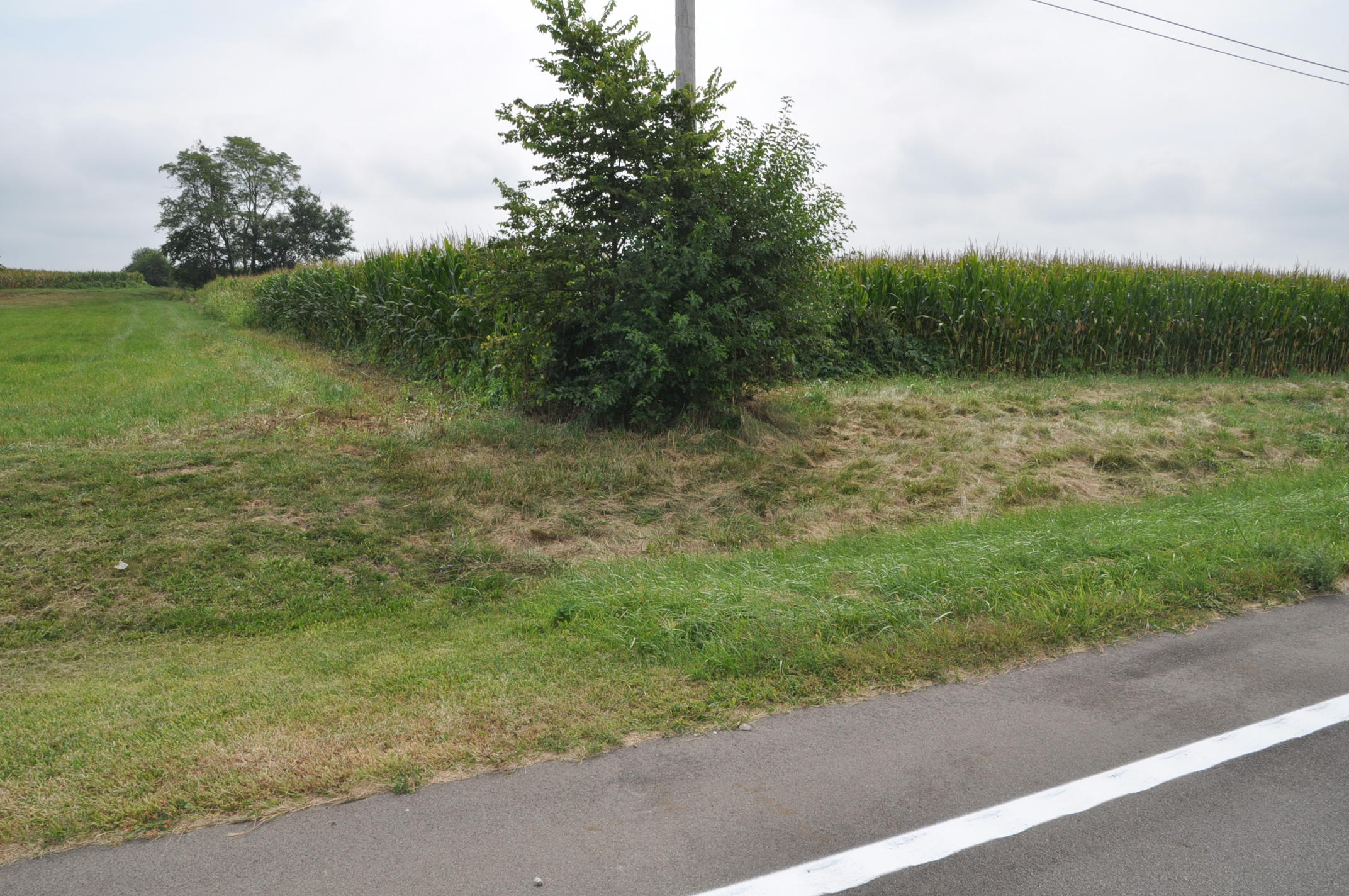 0 South State Road Tipp City, OH 45371 - Photo 5 of 14