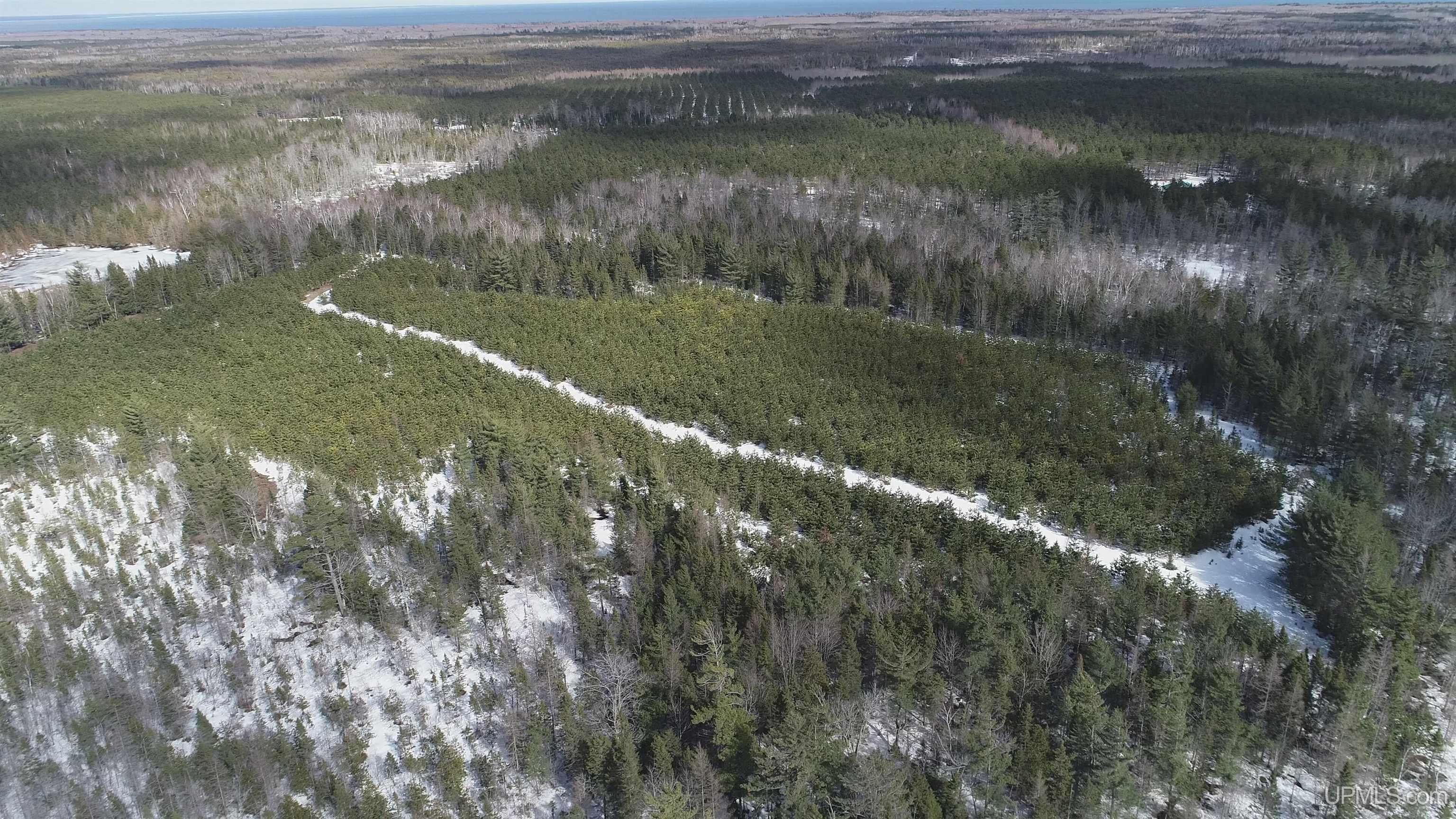 40-acres Off Flodin Road Manistique, MI 49854 - Photo 19 of 23