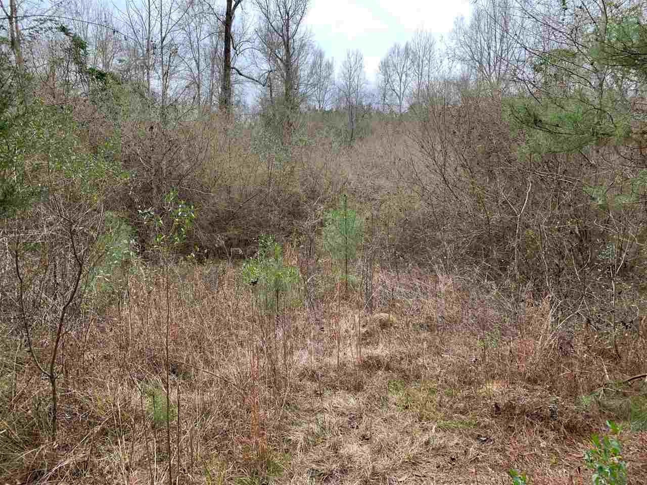 0 Mt Zion Road Wesson, MS 39191 - Photo 6 of 8 Photo 6