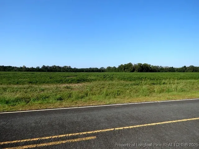 a view of a field with an ocean view