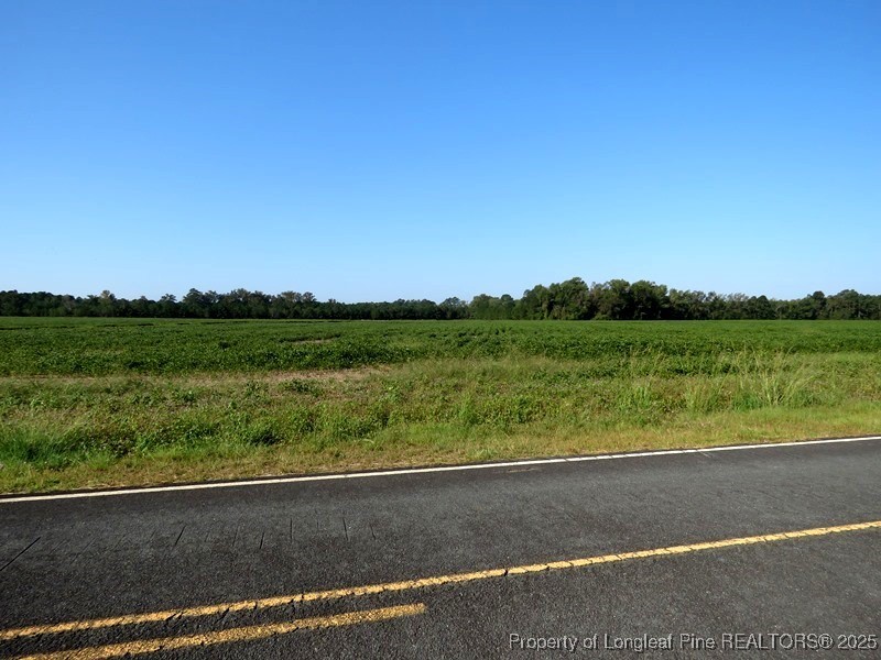 Tbd Cowpen Swamp Road Fairmont, NC 28340 - Photo 3 of 3 a view of a field with an ocean view