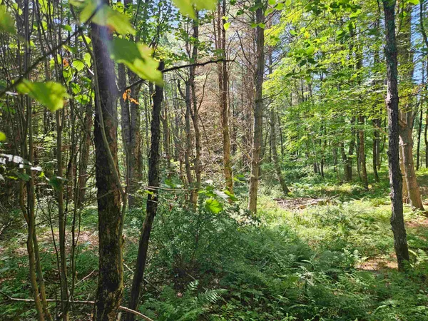 $83,500 | Lot 3.1 Off Parker Road, Lisbon, NH 03585