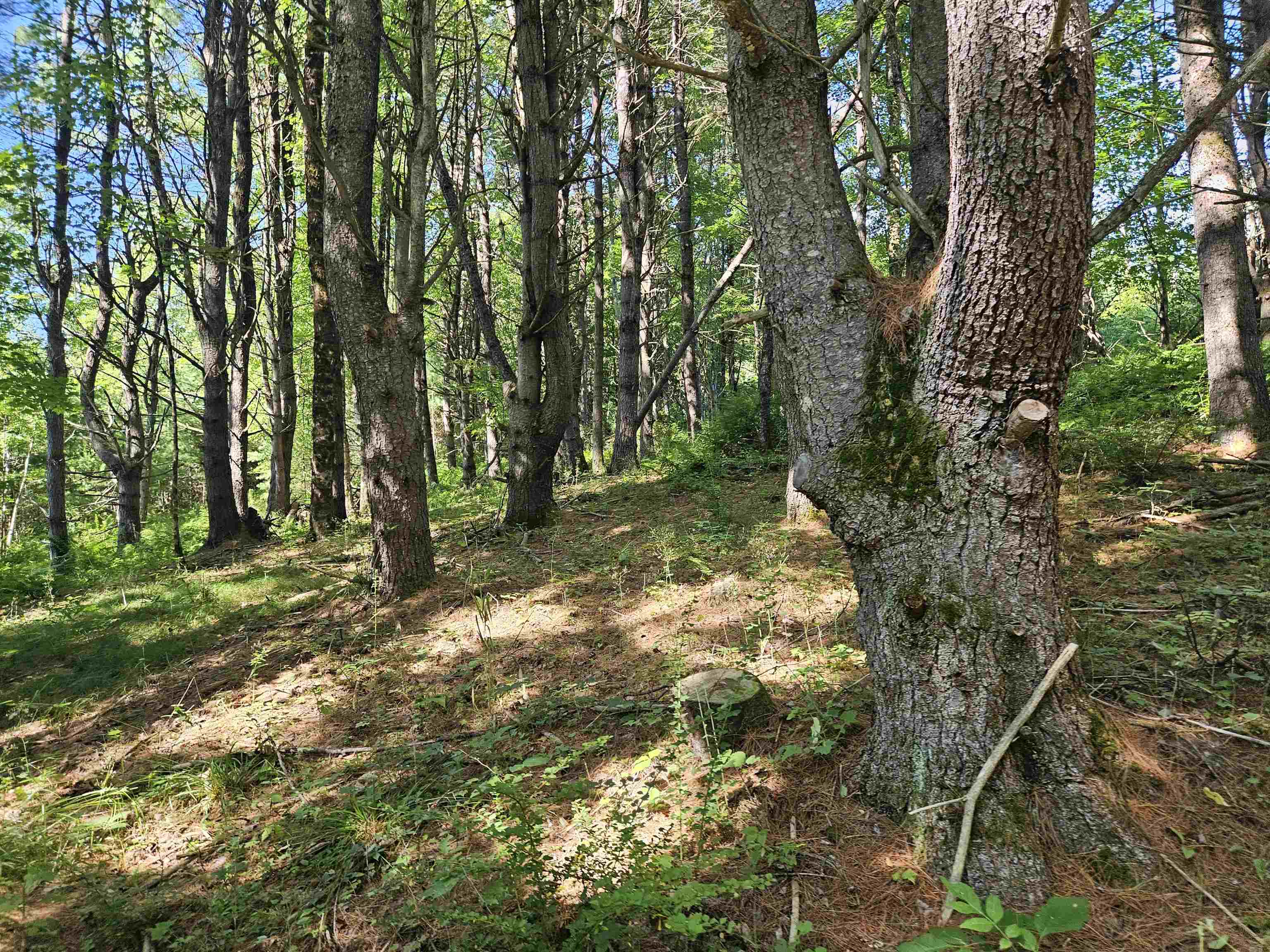 Lot 3.1 Off Parker Road Lisbon, NH 03585 - Photo 16 of 23