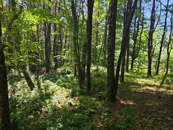 $83,500 | Lot 3.1 Off Parker Road, Lisbon, NH 03585