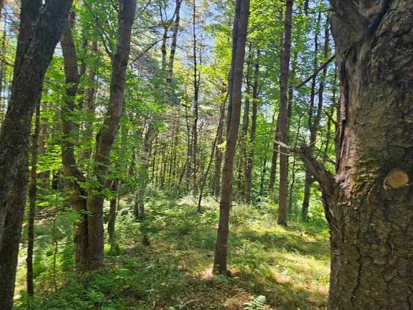 $83,500 | Lot 3.1 Off Parker Road, Lisbon, NH 03585