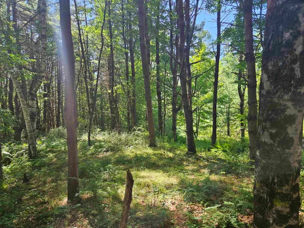 $83,500 | Lot 3.1 Off Parker Road, Lisbon, NH 03585