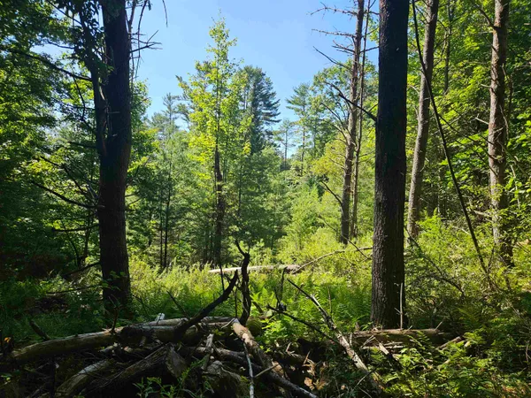 $83,500 | Lot 3.1 Off Parker Road, Lisbon, NH 03585