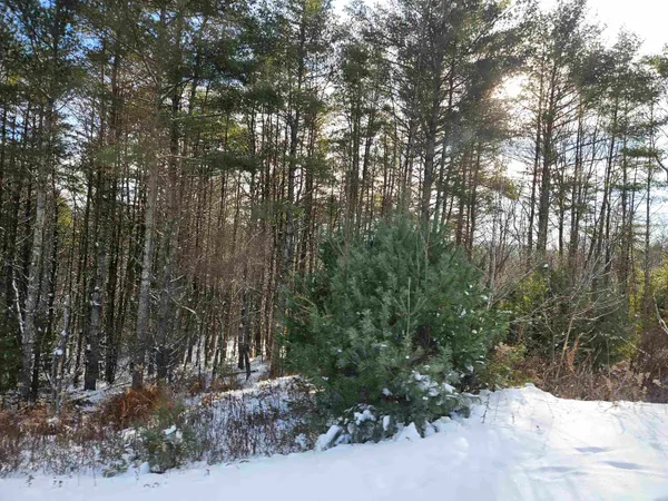 $83,500 | Lot 3.1 Off Parker Road, Lisbon, NH 03585