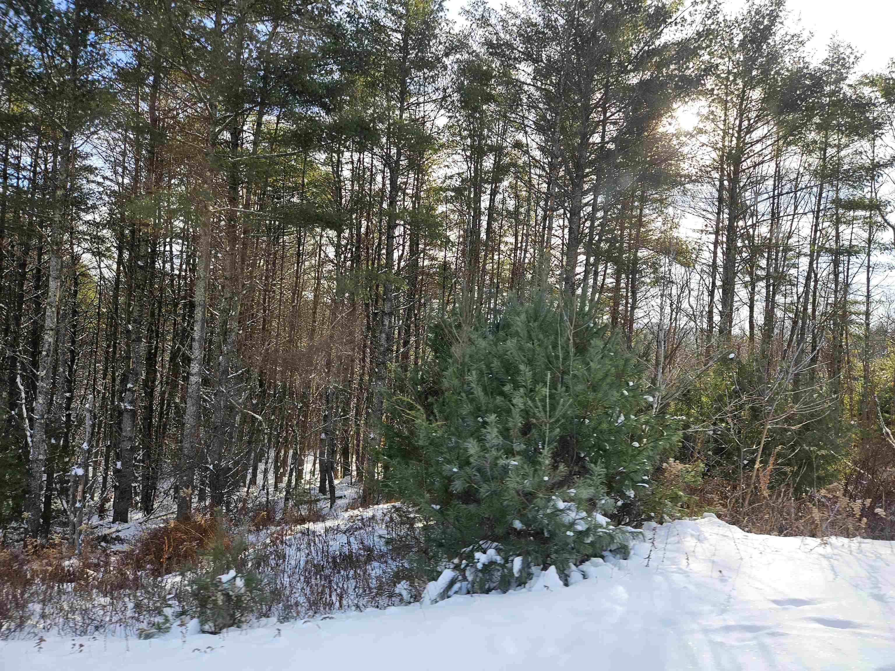 Lot 3.1 Off Parker Road Lisbon, NH 03585 - Photo 4 of 23