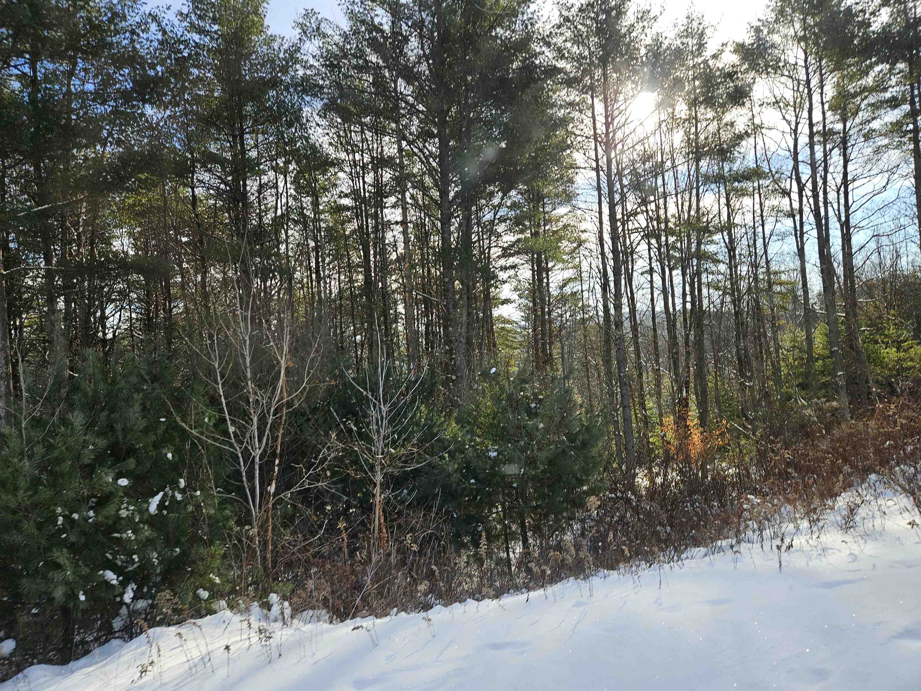 Lot 3.1 Off Parker Road Lisbon, NH 03585 - Photo 5 of 23