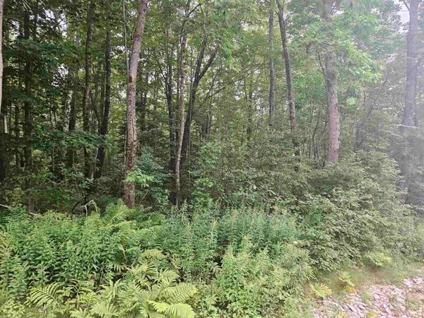 $83,500 | Lot 3.1 Off Parker Road, Lisbon, NH 03585