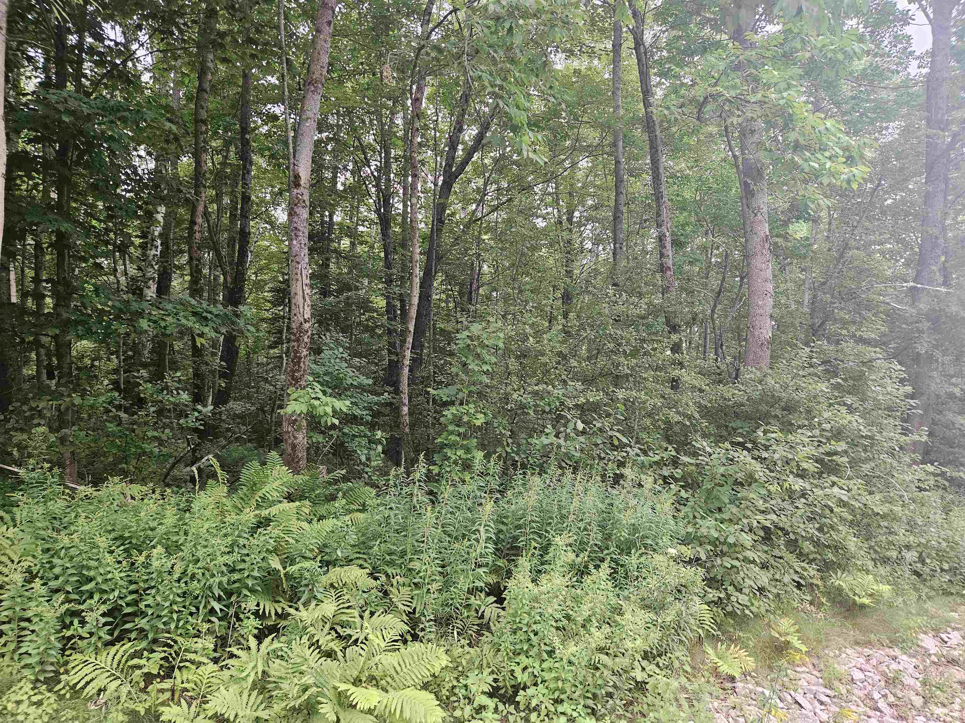 Lot 3.1 Off Parker Road Lisbon, NH 03585 - Photo 8 of 23