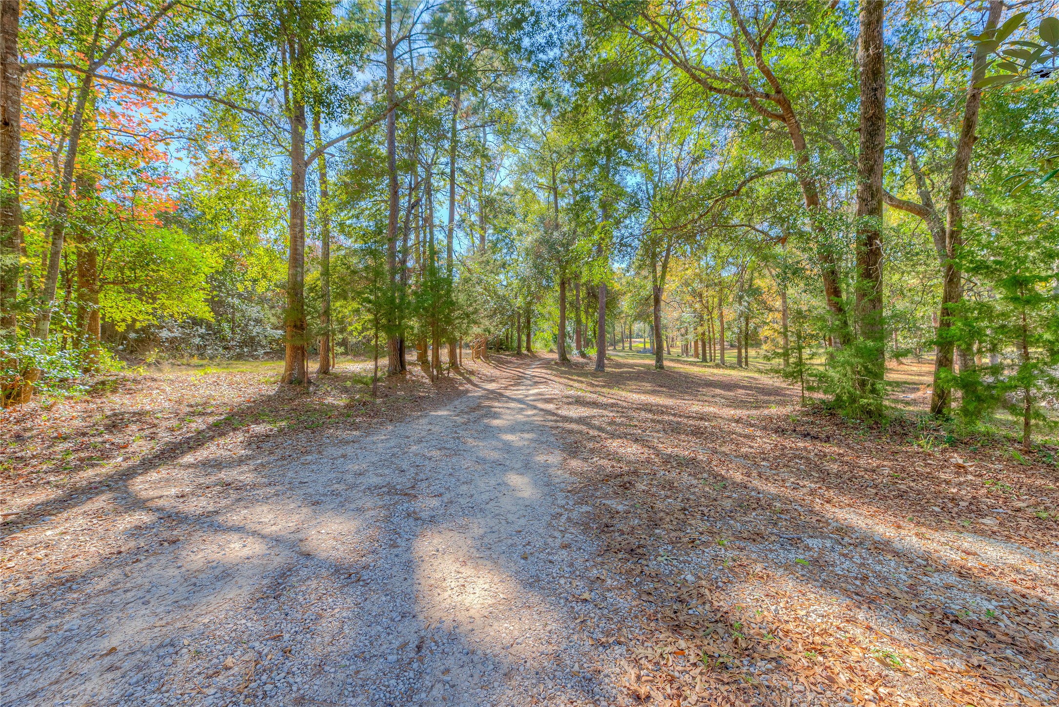 300 L Green Road Cleveland, TX 77328 - Photo 32 of 44 a view of outdoor space with trees