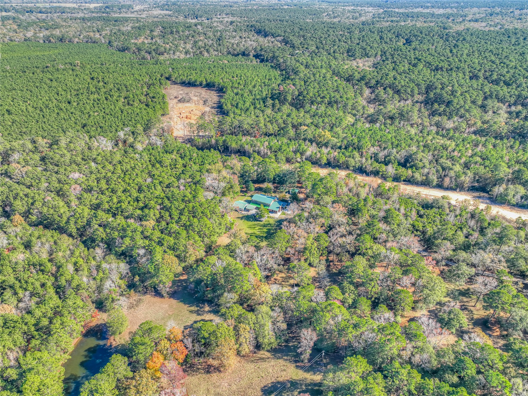 300 L Green Road Cleveland, TX 77328 - Photo 38 of 44 a view of a yard with plants and large trees
