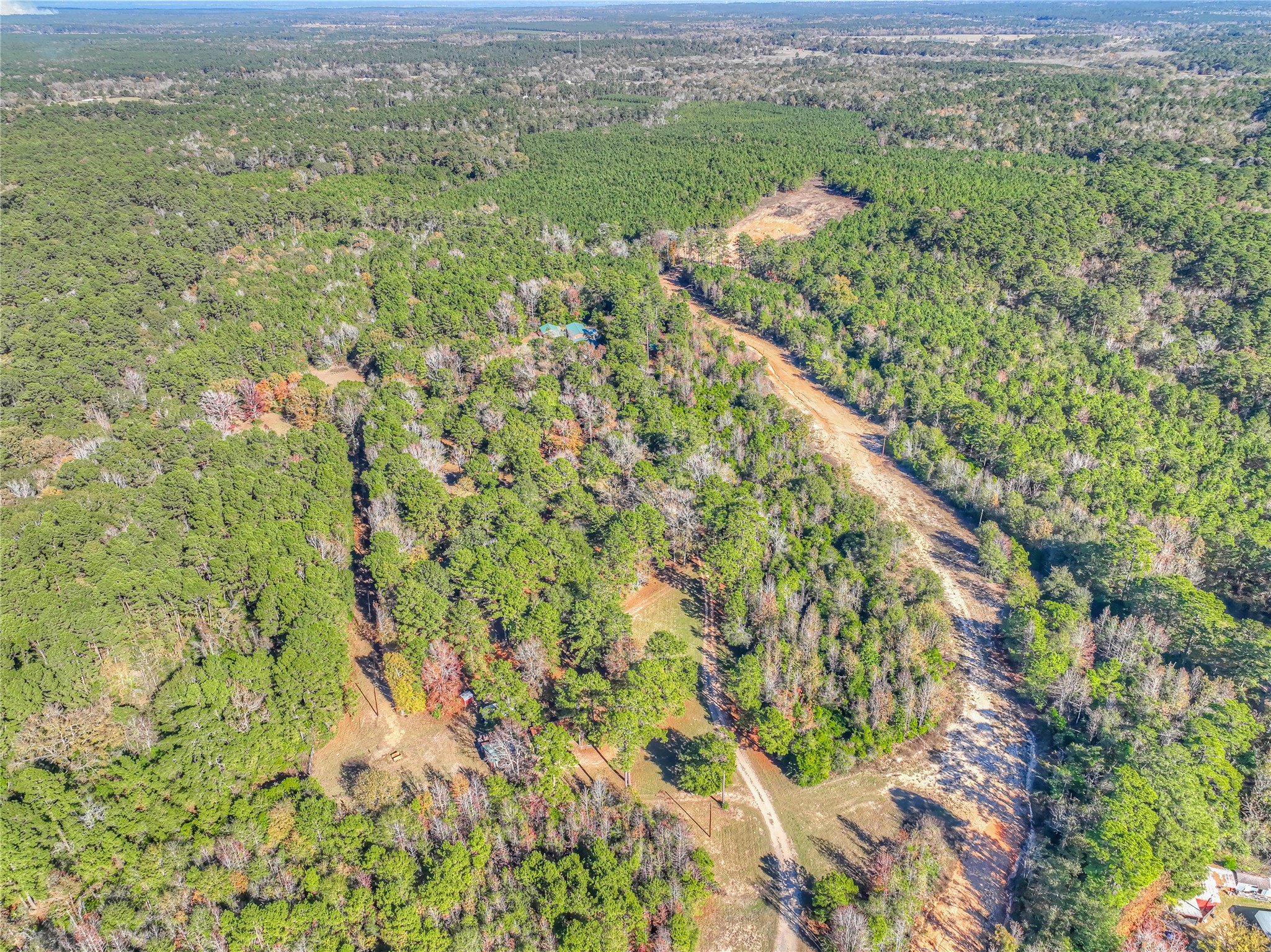 300 L Green Road Cleveland, TX 77328 - Photo 41 of 44 a view of a garden with an outdoor space