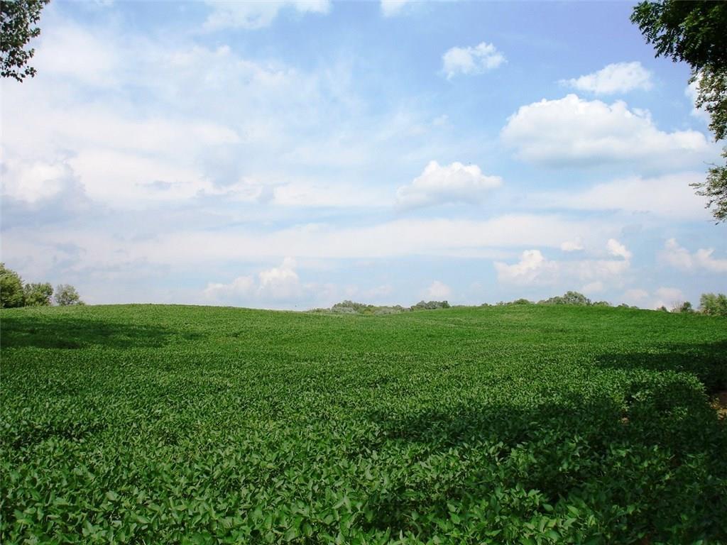 16-acres Selma Road Springfield, OH 45502 - Photo 4 of 6