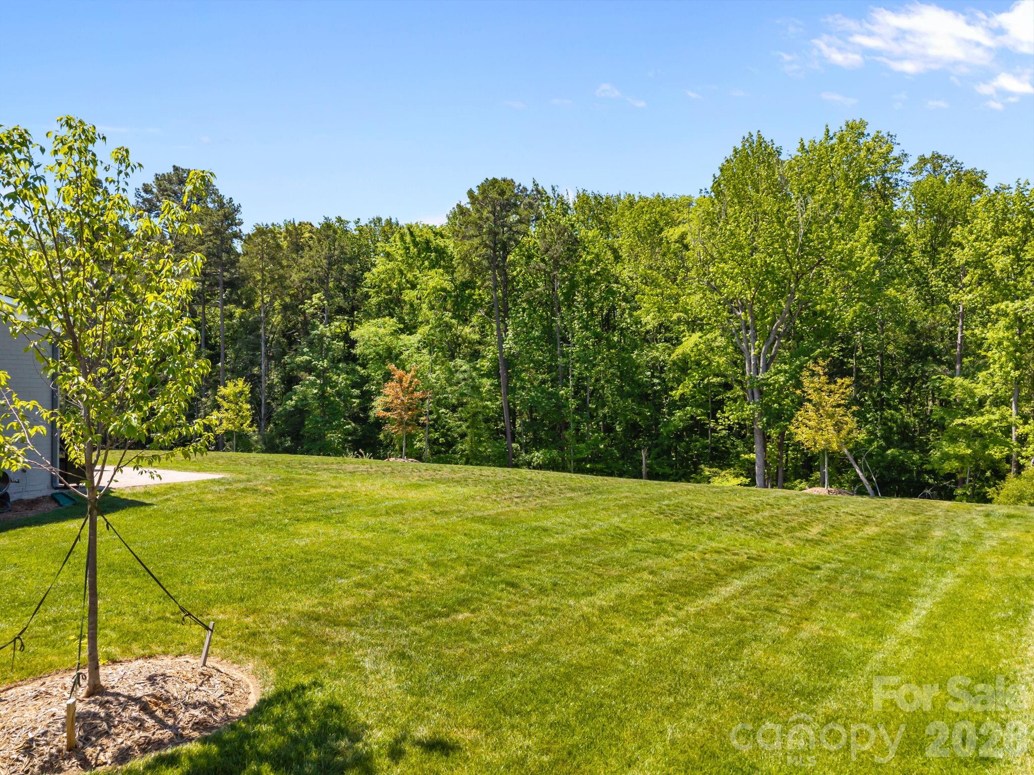 8620 Balcony Bridge Road Huntersville, NC 28078 - Photo 4 of 48 Gallery Image 4
