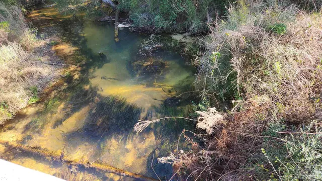 $225,000 | Forest Drive, Milton, FL 32570